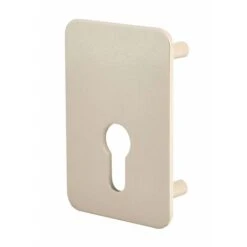 THIRARD - Plaque De Renfort Porte Isoplane Type Capital à Cylindre Profilé époxy Or