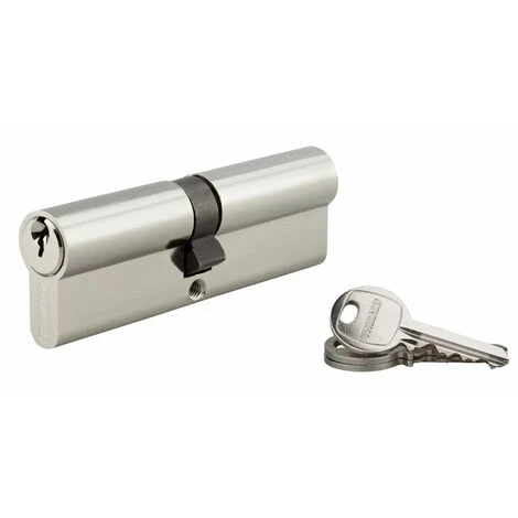 THIRARD - Cylindre à Clé Crantée 50 X 50 Mm Nickelé 3 Clés