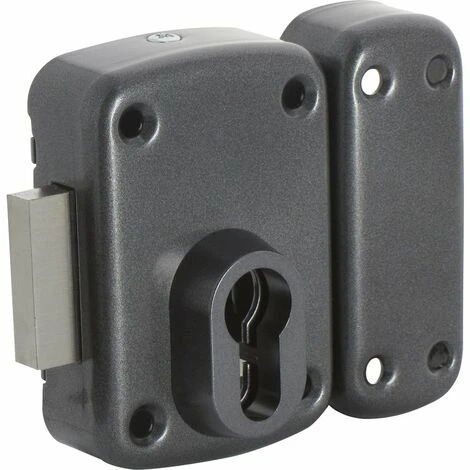 Verrou à Cylindre Gris Anthracite - Arnov - Iséo