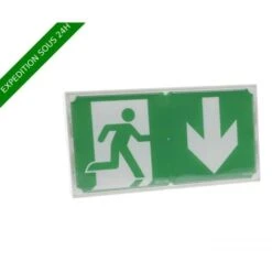 BAES D'évacuation Uraone IP42 IK07 SATI Flux 45lm 1h Consommation 0,8W Avec Fonction Visibilité+