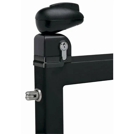 Serrure Twist Pour Portillon De Piscine LOCINOX - Noir Ral 9005 - TWIST 40 9005