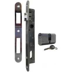 Serrure De Portail à Larder à Cylindre Oblongue Axe à 15 Mm + Cylindre 55mm