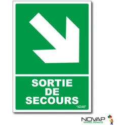 Panneau Sortie De Secours En Bas à Droite - Rigide A5 - 4600741