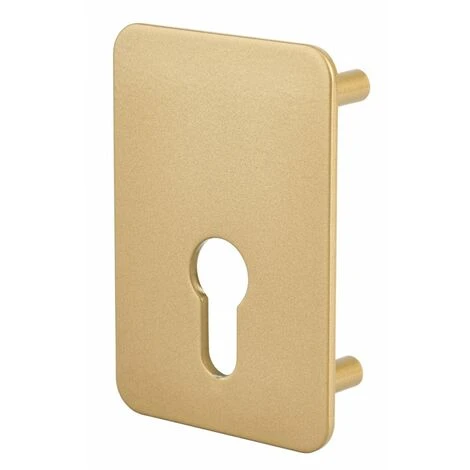 Contreplaque Pour Verrou