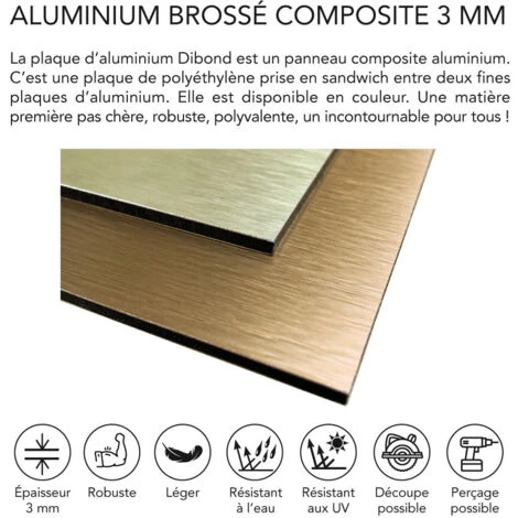 Pictogramme Escalier (Q0450). Autocollant Souple Effet Alu Brossé Ou Plaque De Porte Alu Brossé Ep 2mm Au Choix - Adhésif Aspect Aluminium Brossé - Diamètre 83 Mm – Image 5