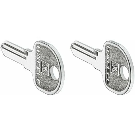 2x ébauche De Clé Universelle Pour Noyau Et Cylindre Porte Boite Aux Lettres Portail Garage Coffre Fort Meuble Clef Vierge