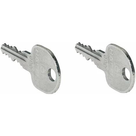 2x Clé Universelle Pour Cylindre à Paillettes Serrure Noyau Interchangeable Symo Fermeture Entrepôt Porte Portail Verrou Clef