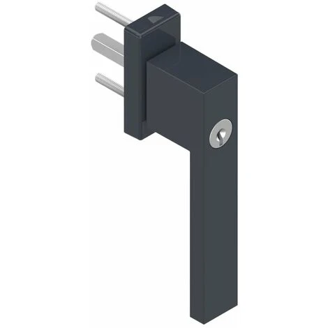 Poignée De Fenêtre à Clé Standard Gris Anthracite 40 Mm