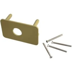 Contreplaques Pour Verrous Cyclop Type2 - VACHETTE - 16802000