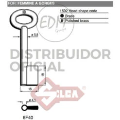Clé À Gorges Laiton Brillant 6f40 Maschi-Femmine