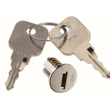 Barillet De Remplacement Pour Serrures LEHMANN Avec 2 Clés Métalliques Profil B1 Insert Cylindre Porte Boîte Aux Lettres Meuble Noyau Verrou Fermeture Sécurité, Série 18201 - 18300