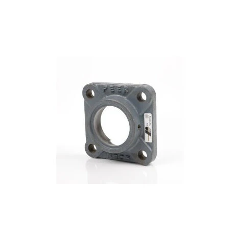 Boîtier De Roulement à Bride F204 Carré SNR