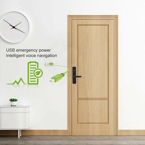 Serrure De Porte Biométrique Avec Empreinte Digitale, Serrure De Poignée De Porte électronique WiFi, Mot De Passe D'empreintes Digitales IC Card APP Clé à Distance Déverrouiller Le Levier De Porte Ava – Image 5