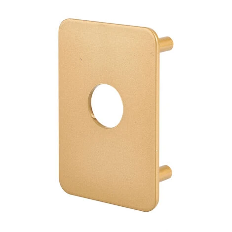 THIRARD - Plaque De Renfort Pour Verrou Capital Ou Transit 2, Fixation Par Vis, époxy Bronze – Image 3